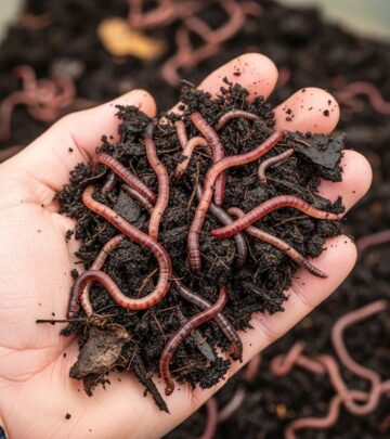 Master the art of breeding live bait at home to enhance your angling success with fresh, plump worms year-round.